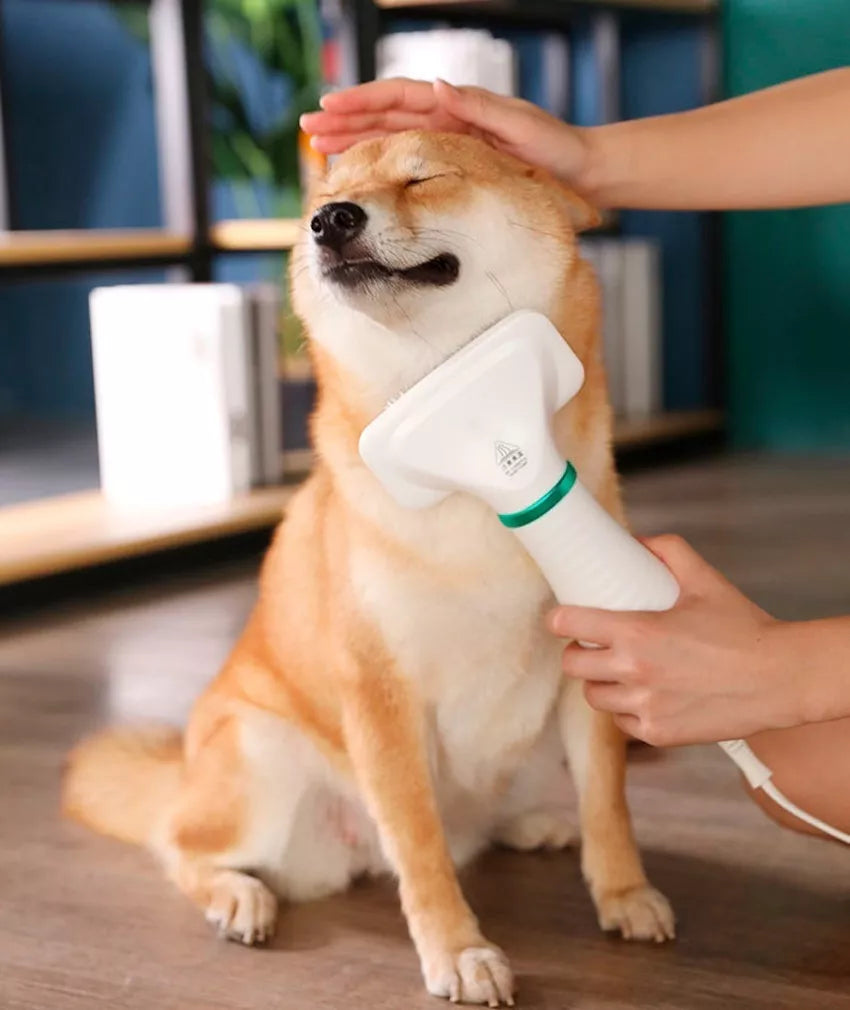 Peine cepillo Secador Para Mascotas